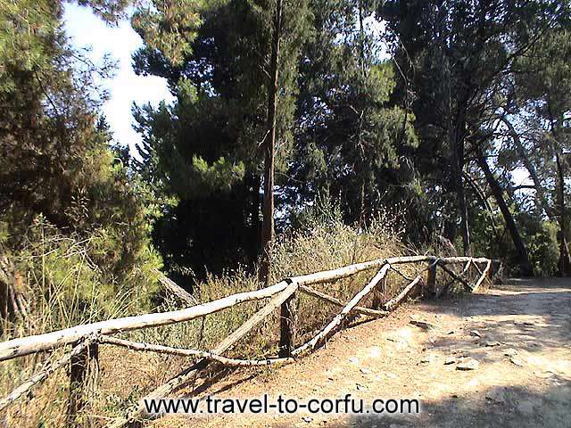 CORFU MON REPOS - The wooden hill of Analipsis that is founded the Mon Repos is one of the place which every visitor have to see.