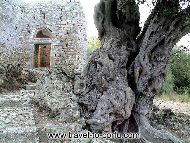 GARDIKI CASTLE - The Castle of Gardikiou built on 13th century.