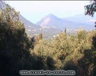 MOUNTAIN VIEW - A view from the hill of Pelekas.