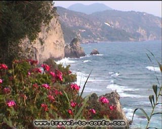 MYRTIOTISSA FLOWERS - Green and blue. The colours that dominate in Corfu.